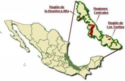 veracruzcoff