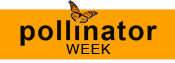 pollinator-week