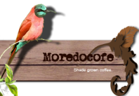 mordo_logo